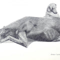 Animals ink drawing titled 'Resting Dog', 20x28 inches, by artist Kamalesh Salaskar on Paper