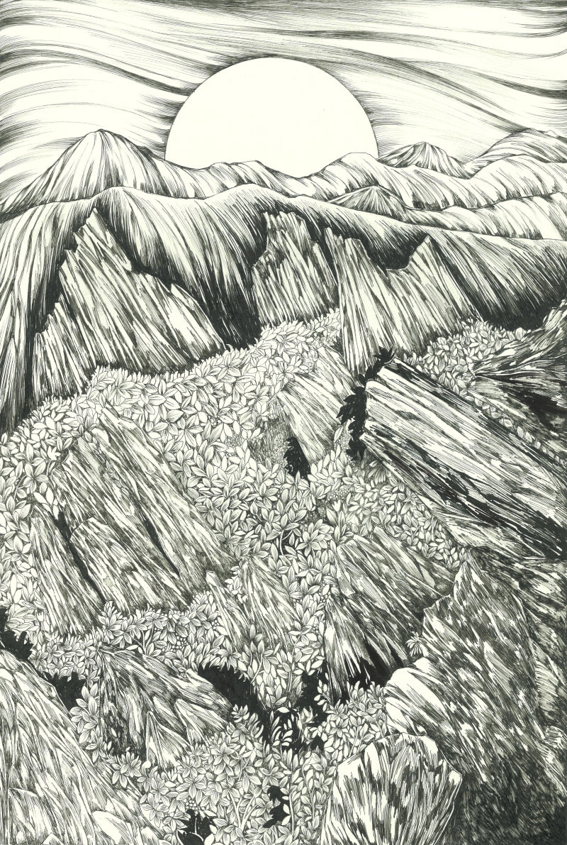 Resting Place' landscape pen-ink drawing by artist Ninoshka Dias, 13x9 inch, on paper
