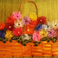 Nature mixed media titled 'Ribbon Basket with Gathered Flowers', 10x7 inches, by artist Mohna Paranjape on Cloth