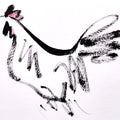 Rooster 11' animals ink drawing by artist Ashok Hinge, 4x6 inch, on paper
