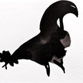 Rooster 16' animals ink drawing by artist Ashok Hinge, 4x6 inch, on paper