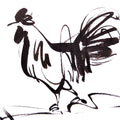 Rooster 18' animals ink drawing by artist Ashok Hinge, 4x6 inch, on paper