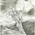 Scorched' landscape mixed-media drawing by artist Ninoshka Dias, 17x12 inch, on paper