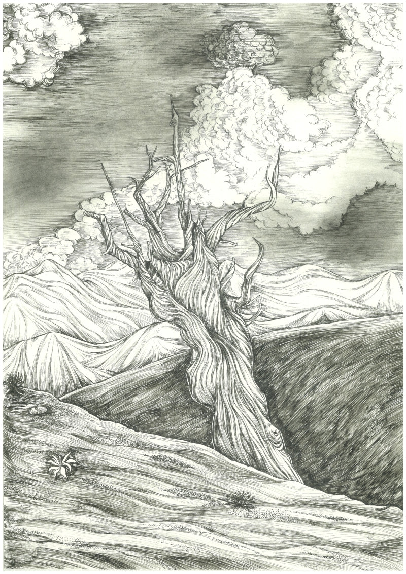 Scorched' landscape mixed-media drawing by artist Ninoshka Dias, 17x12 inch, on paper