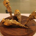 Figurative sculpture titled 'Screwed Up', 12x12x4 inches, by artist Navjot Sohal on Brass, Wood