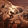 Animals printmaking titled 'Sheep 2', 13x18 inches, by artist Nandini Pantawane on Paper