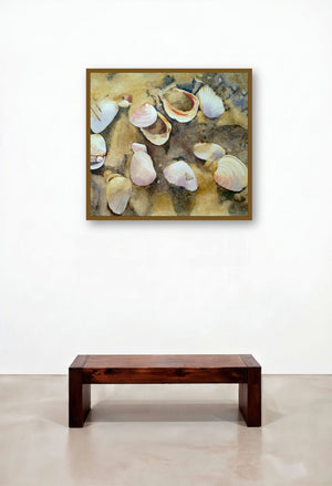 Shells (Shells by artist Shagufta Mehdi) by artist Shagufta Mehdi displayed in a Modern Bedroom