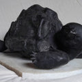 Shy' animals Stone sculpture by artist Shibu Sengupta, 11x14 inch, on stone