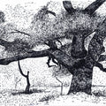 'Silent Canopy' nature ink drawing by artist Ankit Kushwaha, 6x8 inch, on paper