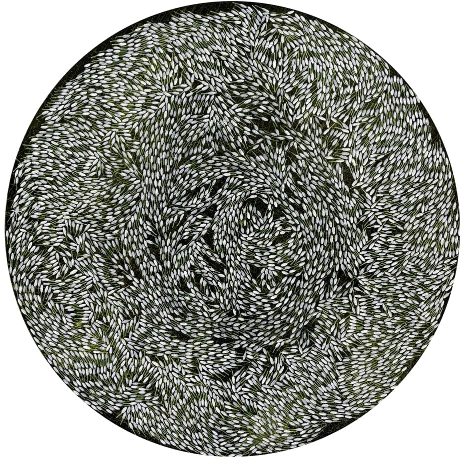 'Sprinkling Fragrance 4' nature acrylic painting by artist Raju T, 48x48 inch, on canvas