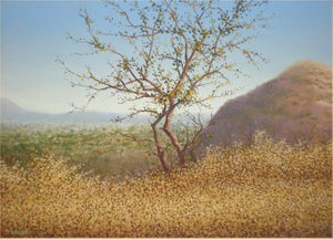 Stand Alone Tree by Fareed Ahmed, Original Oil Landscape Painting on Canvas Board, Small Horizontal Wall Art
