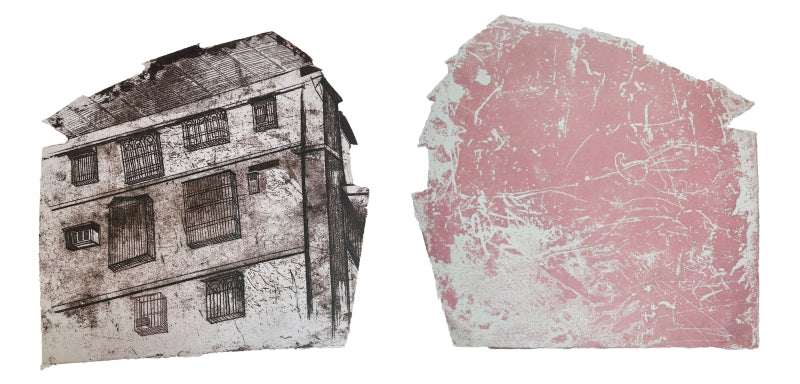 Structure 1 Pink Wall' contemporary etching printmaking by artist Pooja Shinde, 10x20 inch, on paper