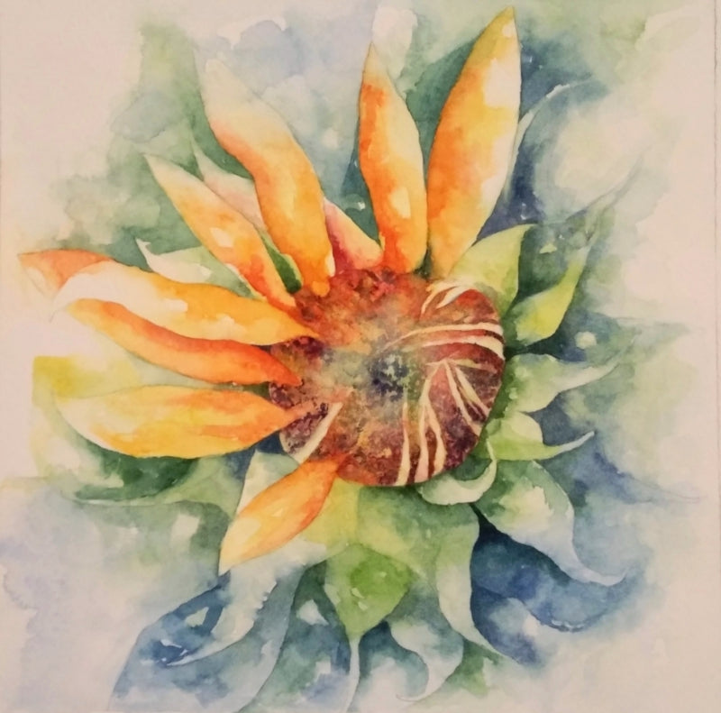 Sunflower' nature watercolor painting by artist Anjana Sihag, 8x8 inch, on paper