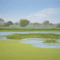 Landscape oil painting titled 'Sunny Morning', 18x24 inches, by artist Fareed Ahmed on Canvas