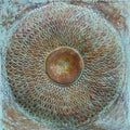 'Tattvamasi 6' contemporary Copper Sheet, Patina mixed_media by artist Abhijit Salunkhe, 36x36 inch, on copper sheet, patina