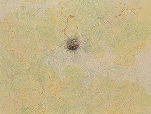 The Begining (The Crab's Journey) by Rajneesh Singh, Original Acrylic Abstract Painting on Canvas, Large Horizontal Wall Art