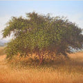 Landscape oil painting titled 'The Bushy Tree', 16x22 inches, by artist Fareed Ahmed on Canvas Board