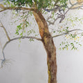 Nature watercolor painting titled 'The New Birth Of The Tree', 12x9 inches, by artist Avishkar Vispute on Paper