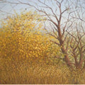 Landscape oil painting titled 'The Stems', 16x22 inches, by artist Fareed Ahmed on Canvas Board