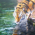 Animals acrylic painting titled 'Thirsty', 24x36 inches, by artist Nihar Debnath on Canvas