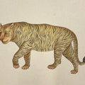 Tiger 3' animals miniature Traditional Art by artist Unknown, 11x13 inch, on paper