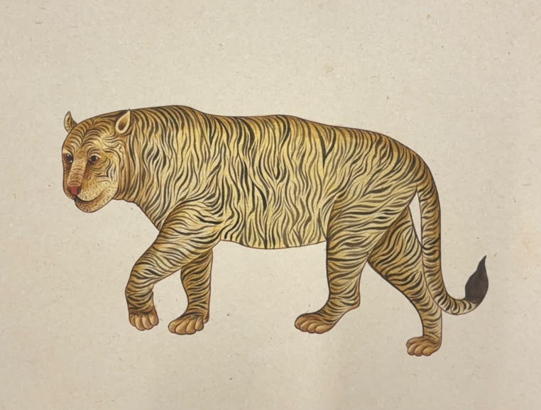 Tiger 3' animals miniature Traditional Art by artist Unknown, 11x13 inch, on paper