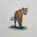 Tiger 5' animals miniature Traditional Art by artist Unknown, 14x11 inch, on paper