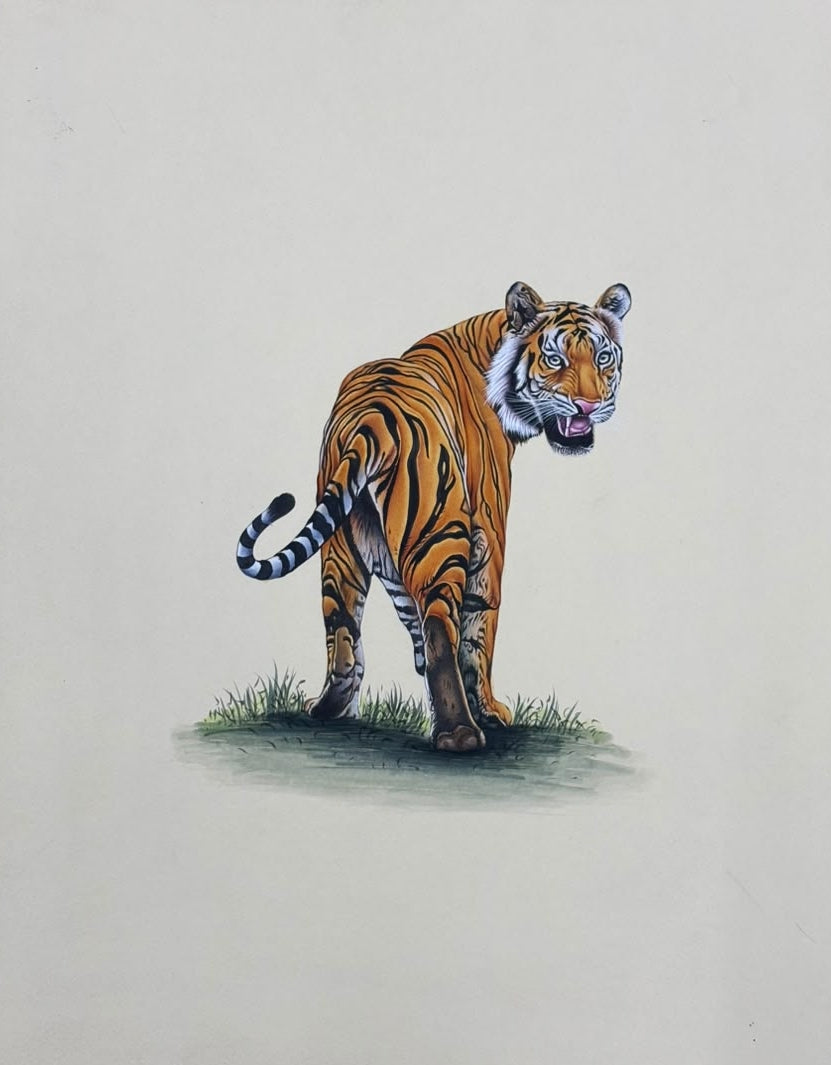 Tiger 5' animals miniature Traditional Art by artist Unknown, 14x11 inch, on paper