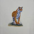 Tiger 6' animals miniature Traditional Art by artist Unknown, 14x11 inch, on paper
