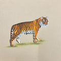 Tiger 7' animals miniature Traditional Art by artist Unknown, 11x14 inch, on paper
