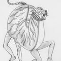 Tiger Dance 2' religious conte drawing by artist Kanha Behera, 22x15 inch, on paper