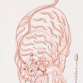 Tiger Dance 5' religious conte drawing by artist Kanha Behera, 22x15 inch, on paper