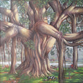 'Under The Banyan Tree' nature acrylic painting by artist Manohar Raja, 48x48 inch, on canvas