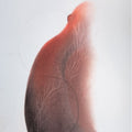 Untitled 1' contemporary dry-pastel painting by artist Trapti Porwal, 30x22 inch, on paper
