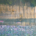 Untitled 13' nature mixed-media painting by artist Vyoma Parikh, 30x42 inch, on linen