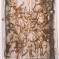 Untitled 31' abstract acrylic painting by artist Yash Chawardol, 12x8 inch, on paper