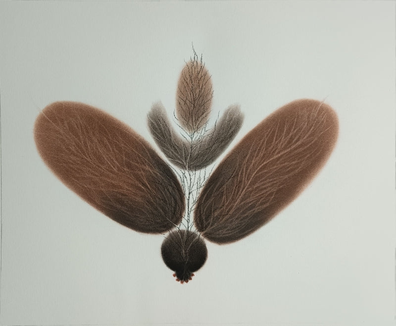 Untitled 55' contemporary dry-pastel drawing by artist Trapti Porwal, 15x18 inch, on paper