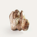 Untitled 6' abstract Jasper Stone sculpture by artist Rambali Prajapati, 18x16 inch, on jasper stone
