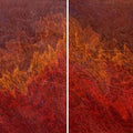 Abstract acrylic painting titled 'Untitled 67 Diptych', 36x96 inches, by artist Durgesh Birthare on Canvas