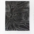 Vines Of The Earth' nature etching printmaking by artist Ankit Kushwaha, 8x6 inch, on paper
