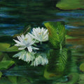 Nature oil painting titled 'Water Lily 15', 24x18 inches, by artist Sulakshana Dharmadhikari on Canvas
