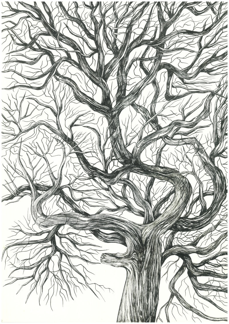 Whispering Tree' nature pen-ink drawing by artist Ninoshka Dias, 17x12 inch, on paper