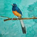 Animals watercolor painting titled 'White Rumped Shama', 8x12 inches, by artist Yashodan Heblekar on Paper