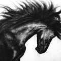 Animals charcoal painting titled 'Wild Spirit 1', 36x48 inches, by artist Anand Sai on Canvas