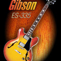 Music photography titled 'Wonderful Gibson ES 335', 15x11 inches, by artist Shavit Mason on