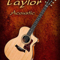 Music photography titled 'Wonderful Taylor Acoustic Guitar', 15x11 inches, by artist Shavit Mason on