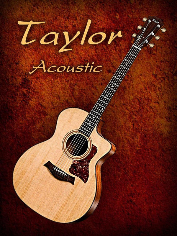Wonderful Taylor Acoustic Guitar Photography by Shavit Mason | ArtZolo.com