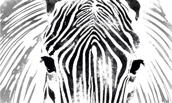 Zebra Digital Art By Suraj Lazar